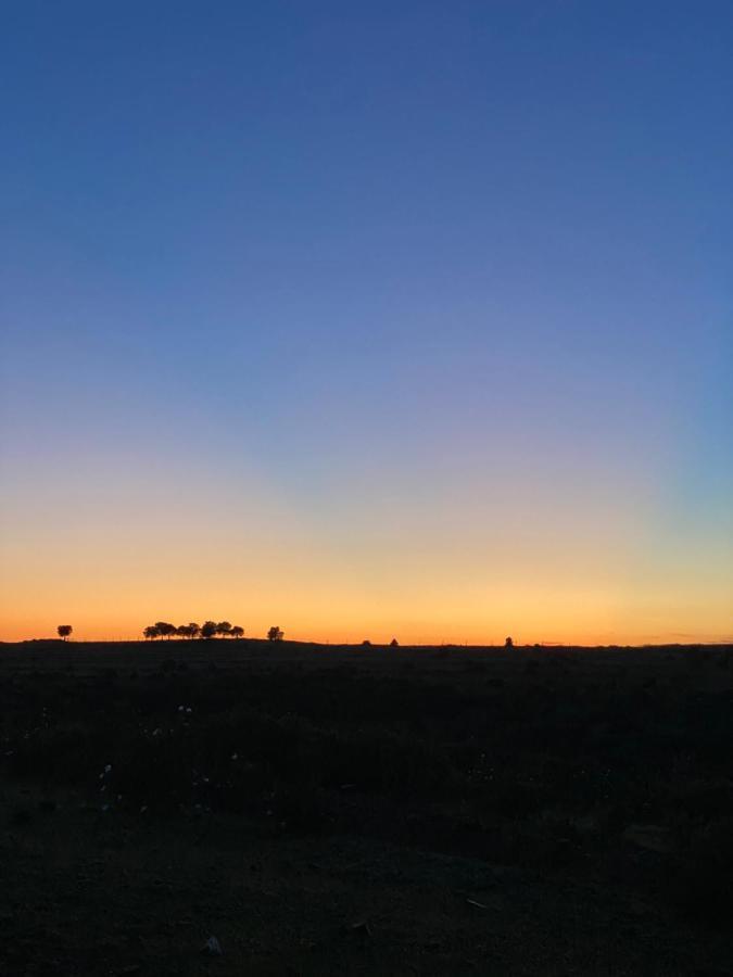 Herdade De Alagaes Mértola Exteriör bild