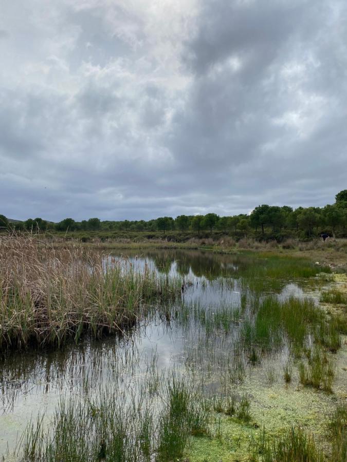 Herdade De Alagaes Mértola Exteriör bild